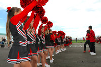 Toro Bulls Cheer