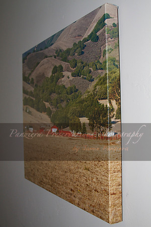 PPP Canvas Gallery Wraps