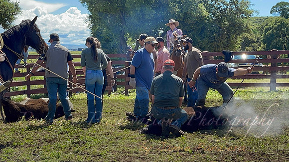 IMG_0951