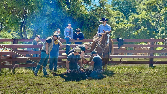 IMG_0918