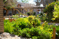 California Mission Trip