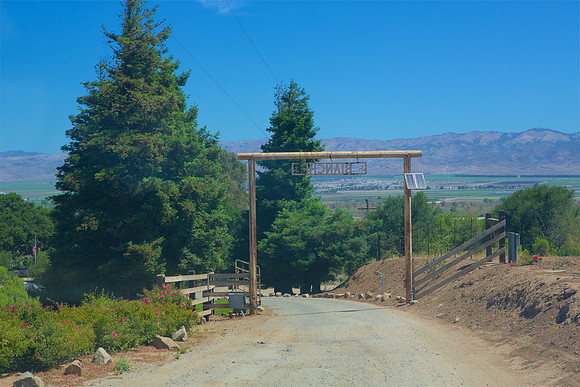 532A0013