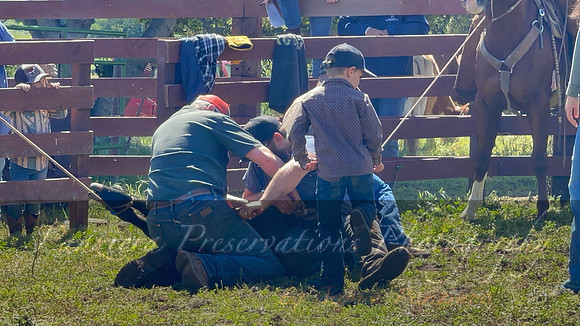 IMG_0908