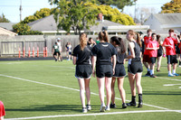 Bobcat Track 2019